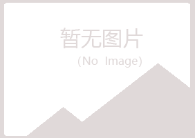 阳曲县白山建设有限公司